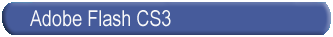 Flash Training Online, Flash Training Learn Flash, Tutorials training Flash CS3 Professional Essential Training, 