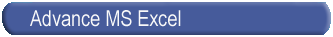 Microsoft Excel
