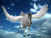 online training maya design sample